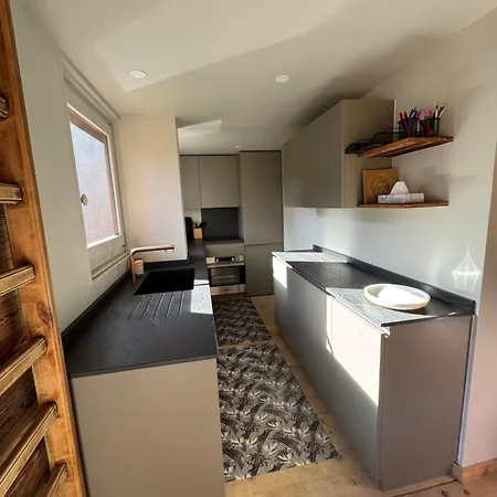 Duplex Aux Pieds Des Pistes A Rochebrune *