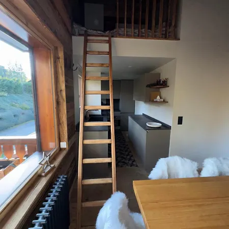 Apartment Duplex Aux Pieds Des Pistes A Rochebrune Megève