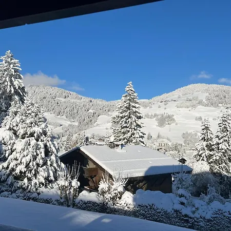 Apartment Duplex Aux Pieds Des Pistes A Rochebrune Megeve