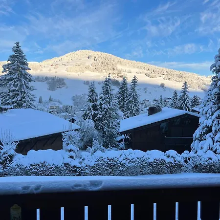 Apartment Duplex Aux Pieds Des Pistes A Rochebrune